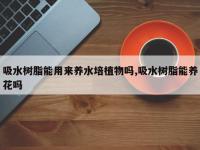 吸水树脂能用来养水培植物吗,吸水树脂能养花吗